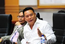 Wacana Tambah Matra Siber di TNI, TB Hasanuddin: Regulasi yang Ada Belum Memungkinkan