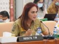 Tidak Ada Unsur Perbuatan Melawan Hukum dalam Kasus Tom Lembong