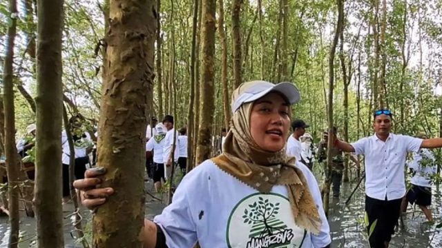 Pelestarian Kukang di Lampung: Upaya Bersama untuk Menyelamatkan Satwa Dilindungi