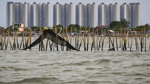Kontroversi Pagar Laut di Pesisir Tangerang: Usulan Investigasi dan Sikap Tegas Pemerintah