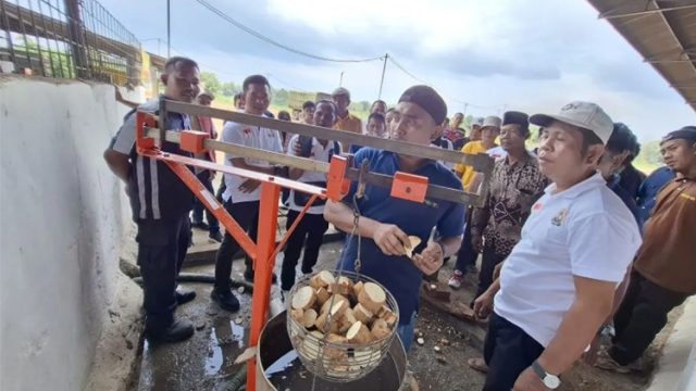 La Ode Umar Bonte Dorong Digitalisasi Alat Ukur Pati dan Timbangan Ubi Kayu untuk Transparansi Harga