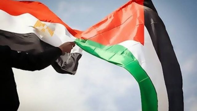 Mesir-Palestina Bahas Pemulihan Gaza Tanpa Pemindahan Warga Palestina