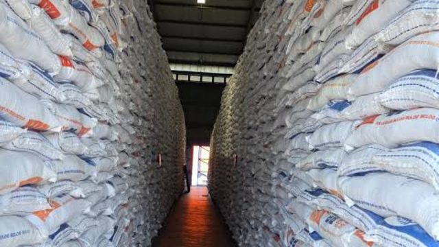 Alex Indra Lukman: Bulog Perlu Manajer Visioner, Bukan Hanya Gudang Tambahan