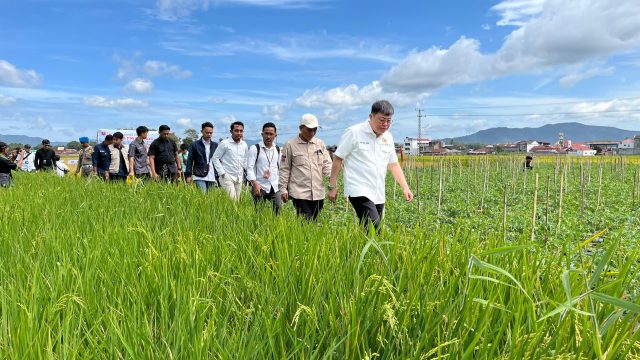 Komisi IV DPR RI Dorong Nasionalisasi Sawah Pokok Murah untuk Dukung Ketahanan Pangan