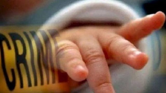 Dugaan Pegawai Dukcapil Terlibat Sindikat Penjualan Bayi, Komisi II DPR RI Desak Kemendagri Audit Menyeluruh