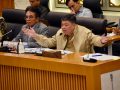 DPR Desak Pembaruan Data SPHP Jagung Pakan agar Lebih Adil bagi Peternak Kecil