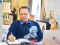 Menakar Urgensi Mereduksi Polarisasi Sebelum Harmoni Bangsa Terkoyak